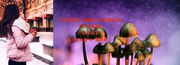 герыч Новокубанск