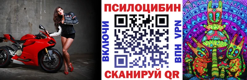 Псилоцибиновые грибы Psilocybe  купить закладку  Апрелевка 